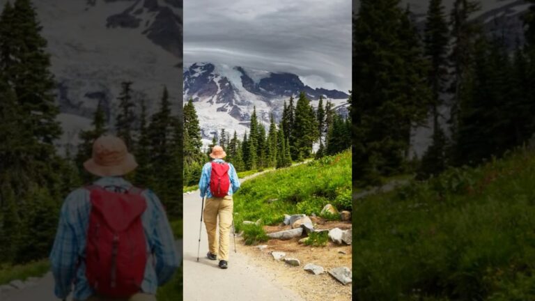 Tip to Visit Mount Rainier National Park No. 4 #mtrainier #mountrainier #usnationalparks traveltips