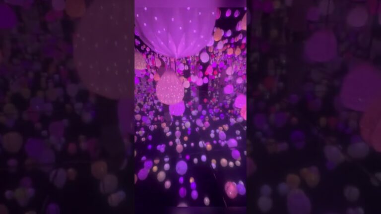 Arte Museum | Inside the Star Room 🌟