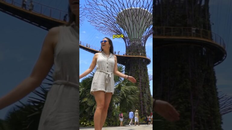 Top Things To Do📍Singapore